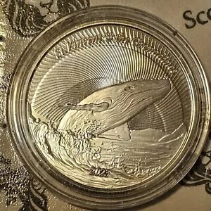 2023 EC8 ZgrZg UgENW 1IX ݃JvZ; JvZ