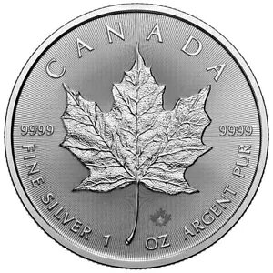 Vi - 2025NJi_ 9999 [v[tRC 1IX CJifBA~g