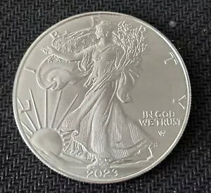 AJ Vo[ C[O 2023 W 1IX ʋ