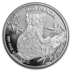 `h 5000 CFA 2024 bT[p_ 1IX Vo[ 999 PC/BU-