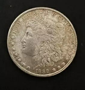 �A���e�B�[�N �A�����J 1889�N �����K�� �V���o�[ �h�� �R�C��