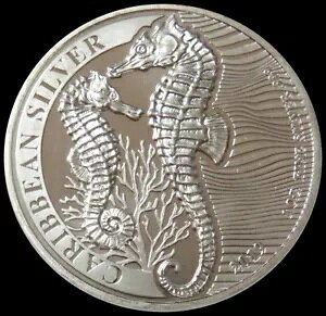 2019�N �V���o�[ �o���o�h�X 1�h�� �V�[�z�[�X �J���u�C 1�I���X 999 �ǎ��R�C��