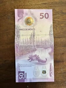 �r���b�g ���L�V�R �f �G�� �A�z���[�e $50.00 �y�\�A�f �� �Z���G AX4482885 EU$1200