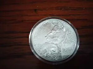 2021 ؍ JINDO DOG RC BU .999 JvZ