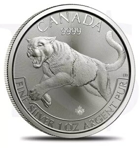 1 IX 999 t@C Vo[ 2016 Ji_ vf^[ V[Y N[K[ nRC