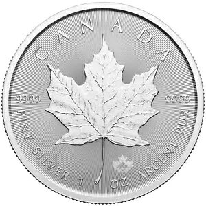 2024 メープル リーフ シルバー コイン - カナダ - 投資コイン - 1 オンス PC-