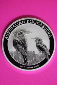 2017 Gem BU I[XgA NbJo Vo[ RCʐ^ŏؖASurface 16 Ɠl