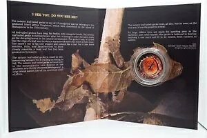 2021 jEG 1/2 IX Vo[ Do You See Me n}I