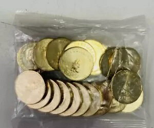 ?? �u���[�C 2024 $1 �V�i �u���[�C �h�� �o�b�O 20 �R�C������ ����