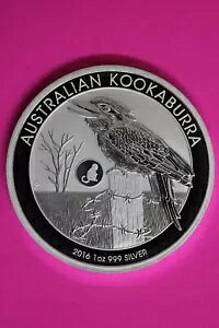 2016 Gem BU I[XgACJZ~ vB Ȃ͎ʐ^œRC肵܂ 58