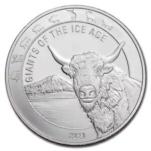 2021 �K�[�i���a�� 1 �I���X �V���o�[ �I�[���b�N�X BU