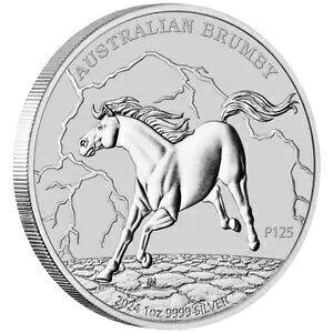 2024 I[XgA ur[ 1 IX Vo[ nRC JvZ (25k ǂ̂)