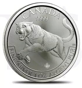 1 IX 999 t@C Vo[ 2016 Ji_ vf^[ V[Y N[K[ nRC