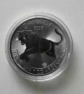 x^[fCg 2016 Ji_ 5 h 1 IXJvZɓ9999Vo[N[K[[hRC