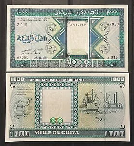 [^jA 1000 EMA 1989 NAP-7AAs G&D vgA^m[gAUNC O[hB