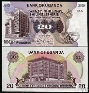 EK_ 20 VO P-12 1979 N[ JK[ UNC ʉ݃}l[oNm[g