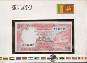 �Z�C���� 5 ���s�[���� UNC (A 2021) us ���^�[ �i���o�[���^�[