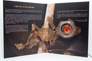 2021 jEG 1/2 IX Vo[ Do You See Me n}I