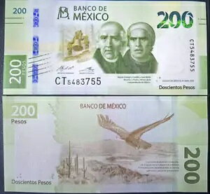 ���L�V�R 200 �y�\ 2021-2022 P-135 �V���� UNC