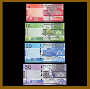 �K���r�A 5 10 20 50 �_���V (4 ���Z�b�g)�A2019 P./// ������ Unc