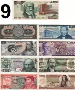 ʃLVRZbg 9 bg 70 N 80 N 5 10 20 50 100 500 1000 y\