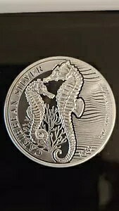 �o���o�h�X 2019 �^�c�m�I�g�V�S �V���o�[ 1 �I���X �V���[�Y ���A ���[ �~���g