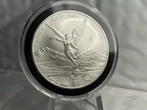 2021 LVR Vo[ x^[h 1 IX .999 v^ v LVR ???? JvZ~g