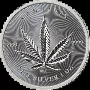 2024 �`���h���a�� 1 �I���X �V���o�[ 5000 CFA - �喃 - 9999 �t�@�C�� - �݌�