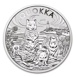 2024 I[XgA ???? 1 IX Vo[ I[XgA NIbJ BU JvZ [ 30,000 ~g