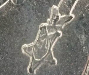 2024 P ?DDR G[ ?Dr.A[EGh[YEEH[J[ NH[^[ ?_2{? 1!