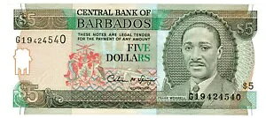 �o���o�h�X P-43 5 �h�� 1995 UNC