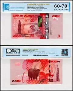 EK_ 20000 VOA2021 NAP-53fAUNCAF؍ςݎ