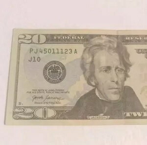 2017A 20 h (45011123) FANCY LADDER VAԍ ꂽ͂