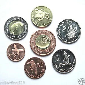 �A���_�}�� & �j�R�o�� �R�C�� 7 ���Z�b�g 2011 UNC