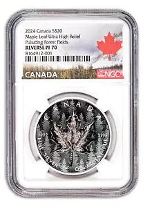 2024 $20 Ji_ [v [t Eg nC [t pZ[eBO tHXg NGC o[X PF70