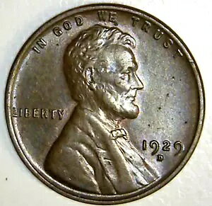 1929 D J[ Zg - `R[g uE BU RC + U[uȂ  (LJ02)