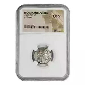 JjAA^|gD c.330-280 BC AR Stater NGC Ch VF