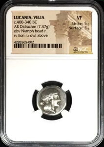 IO 400 ` 340 N Vo[ JjAAxA A fBhN jt & CI RC NGC ɏ㎿