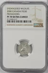 Ji_ 2000 h 30 v`i NGC v[t 70UC vOz[B 0.1IX̃v`iB 600܂B P