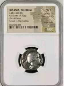 XE JjA Xe[^[ - Vo[ Xe[^[ BC 443 - BC 400 Aei/utBbV 7.7g RC