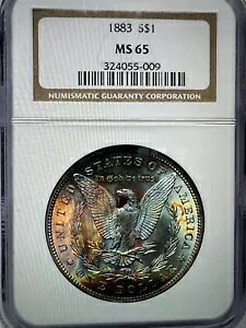 1883 P �g�[�� ���[�K�� $ NGC MS 65??�h��ȃ����X�^�[ ���o�[�X �g�[�� �X�^�i�[??