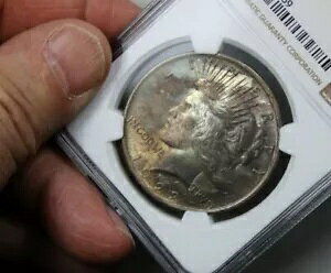 1923 P �s�[�X�_���[ NGC MS 64 �S�ʗ��ʃg�i�[�u�v���`�i ���C���{�[�v