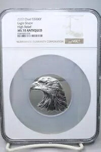 2022 �`���h S5000F �C�[�O���V�F�C�v �n�C�����[�t NGC MS70 �A���e�B�[�N 1�I���X �V���o�[ #0058
