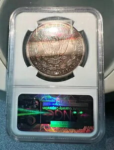 1884-O �u�^�u�g�[���v���[�K�� �V���o�[ �_���[ NGC MS62~ �j�[�g �R�C��