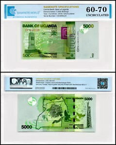 �E�K���_ 5000 �V�����O�A2019 �N�AP-51f�AUNC�A�F�؍ςݎ���