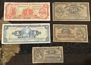 �j�J���O�A�ƃz���W�����X - 5 ���̌Â������̃O���[�v