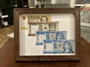 nK[ tHg̊zZbg - ͓IȎWi