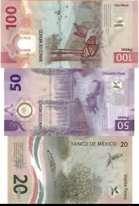 100 - 50 -20 y\ LVR̖ʎ 3 Bv 170 y\