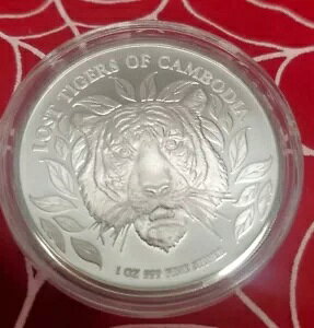 2022 J{WA Xg ^CK[X ?? 1 IX݁A~g JvZ ?????? L[ ??t