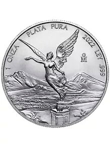 2022 LVR x^[h 1 IX t@C Vo[ IU v^ v RN^[Y RC (݌ɂ)